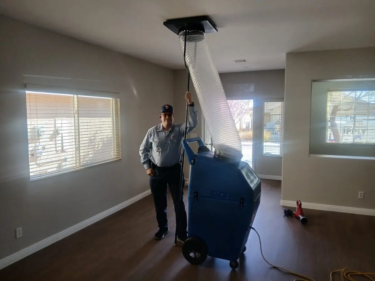 Professional Dryer Vent Cleaning work inside a Martinsville home